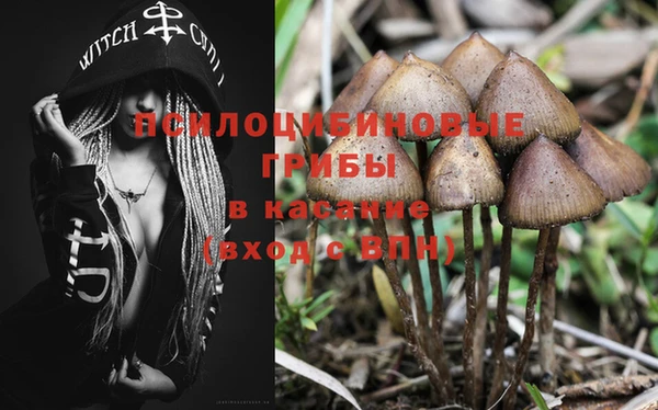 мдпв Зеленодольск