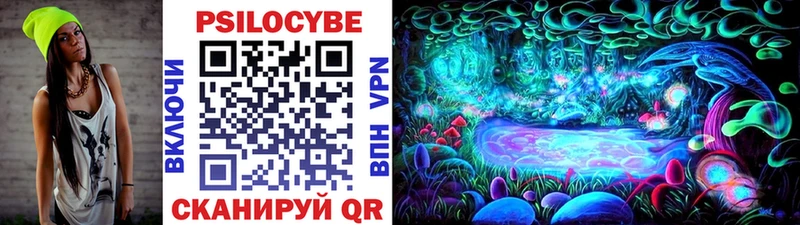 Купить закладки Гусь-Хрустальный Псилоцибиновые грибы Magic Shrooms
